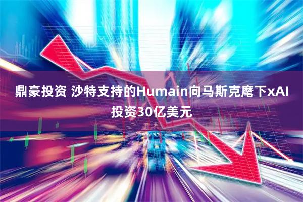 鼎豪投资 沙特支持的Humain向马斯克麾下xAI投资30亿美元