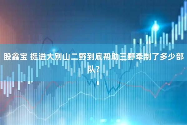 股鑫宝 挺进大别山二野到底帮助三野牵制了多少部队？